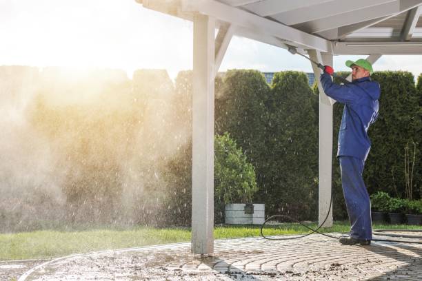 Animal Enclosure Cleaning in Duluth, WA