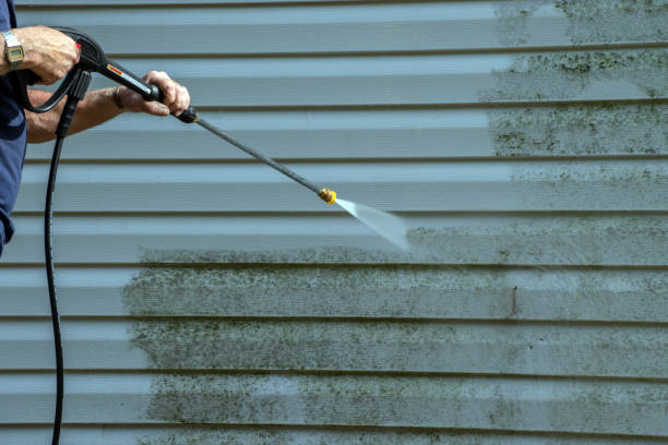 Best Fence Cleaning  in Duluth, WA