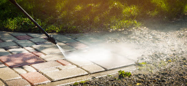 Best Animal Enclosure Cleaning  in Duluth, WA