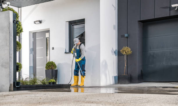 Best Soft Washing  in Duluth, WA